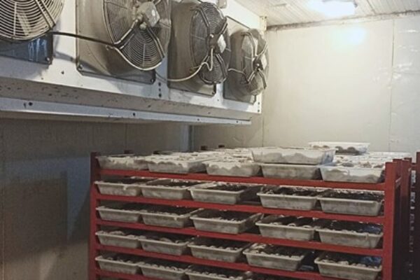 air blast freezer - Ruangan Air Blast Freezer 2