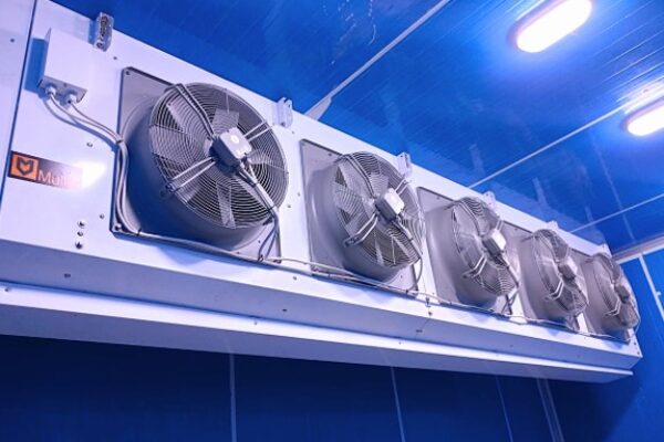 air blast freezer - Ruangan Air Blast Freezer