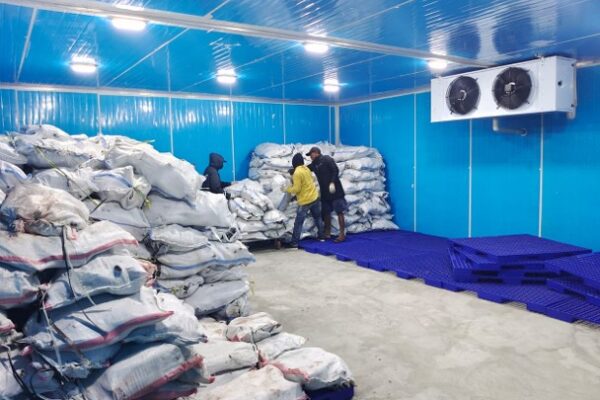 cold storage - Ruangan Cold Storage 2