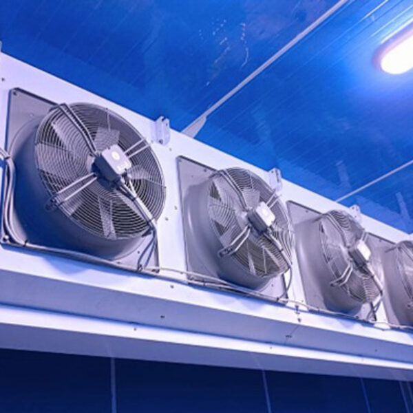 Air Blast Freezer
