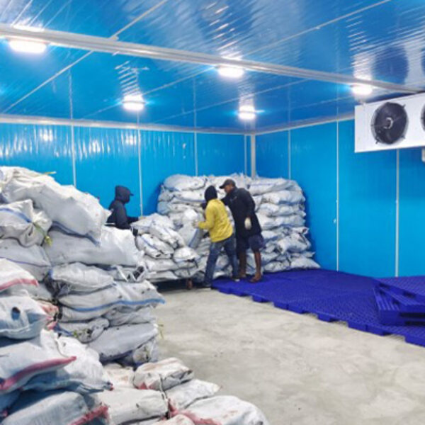 Cold Storage